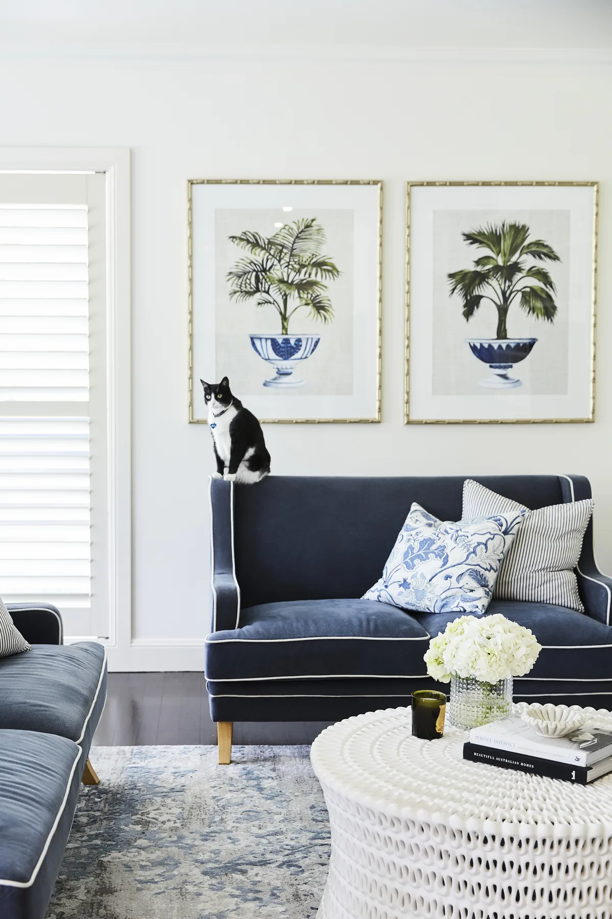 Wahroonga &mdash; navy sofa beneath framed palm prints with a cat on the sofa back